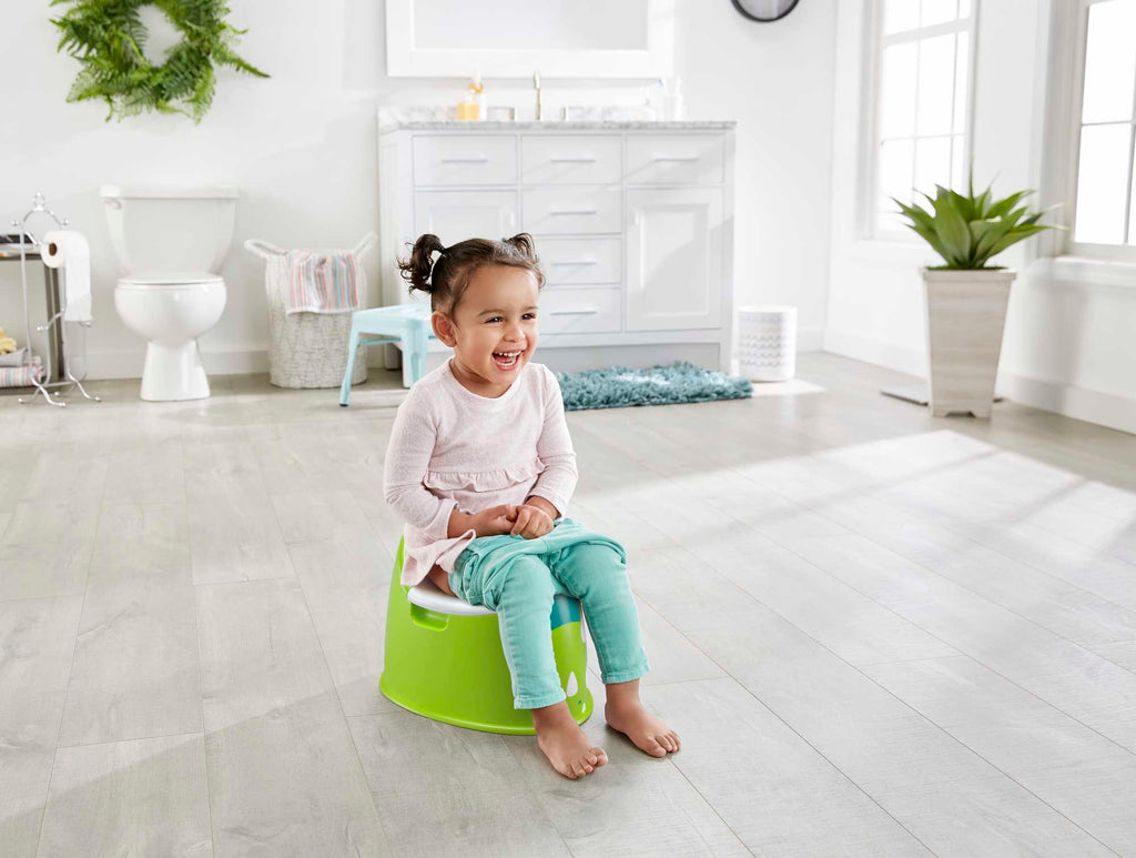 Fisher-Price Dino Potty